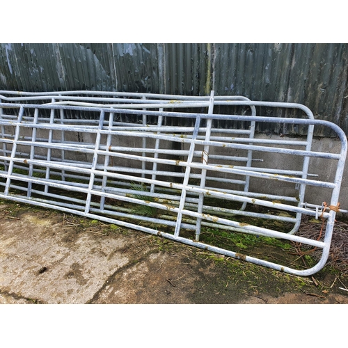 731 - A quantity of Galvanised Gates. (some needing attention). H119 x L463cm approx.