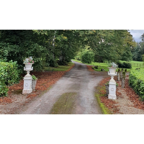 739 - A Fantastic pair of Cast iron Urns on stands with highly moulded detail. Originally came from Summer... 