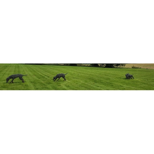 774 - The Tullamaine Hounds by Rupert Till. 
A Fantastic five piece Sculpture of four hounds running acros... 