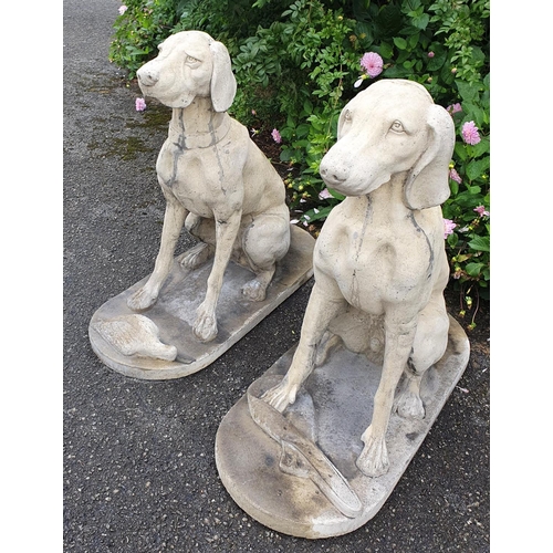 780 - A Fabulous pair of Stone Hounds sitting in repose with their catch at their feet. H92 x D104 x W42cm... 