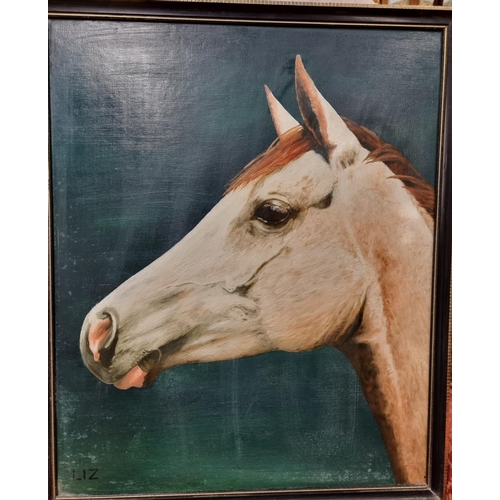 719 - 'Najat'. An Oil on Board of a horse head by Elizabeth Burton. Inscribed verso. 55 x 45 cm approx.