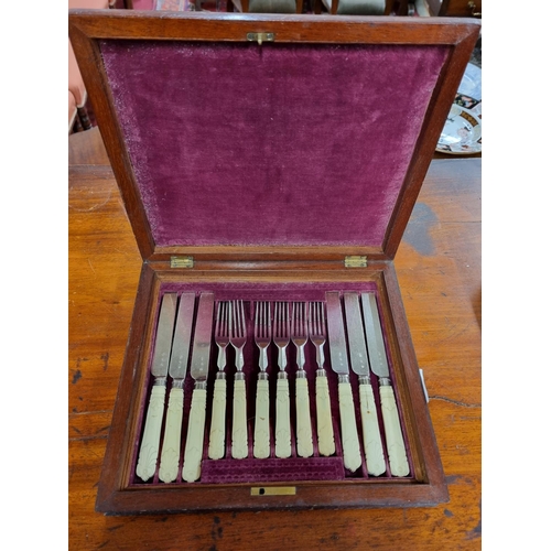 560 - A good set of bone handled Fruit set in a good case.