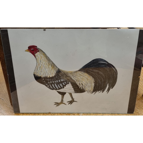 564 - A late 19th early 20th Century Watercolour of a Cockerel, probably Continental along with two other ... 
