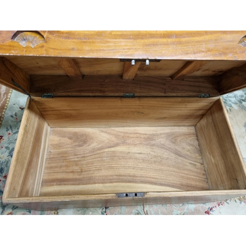 595 - A 19th Century Camphorwood Chest. 105 x 52 x H 58 cm approx.
