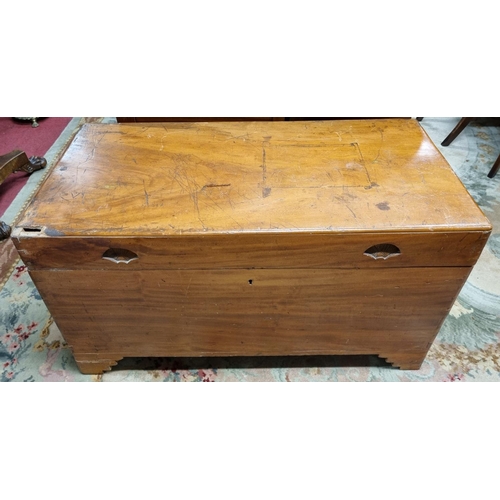 595 - A 19th Century Camphorwood Chest. 105 x 52 x H 58 cm approx.