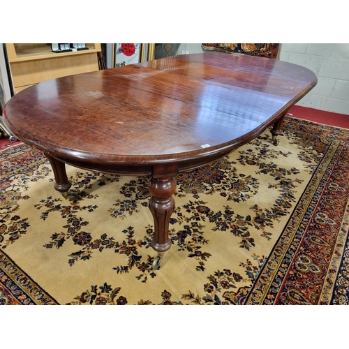 87 - An early Victorian Mahogany D end Dining Table with two extension leaves and turned tulip supports a... 