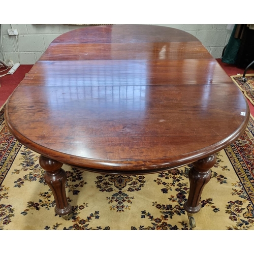 87 - An early Victorian Mahogany D end Dining Table with two extension leaves and turned tulip supports a... 