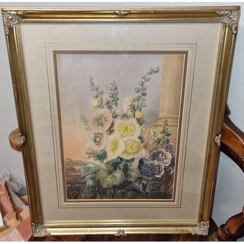 803 - A 19th Century coloured Print, Still life of Flowers in a classical setting.