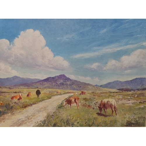 'On The Way to Clifden', Cows on the Bog, Oil on Board by T Clifford, signed lower right. Provenance, in storage for many years. 45 x 60 cm approx.