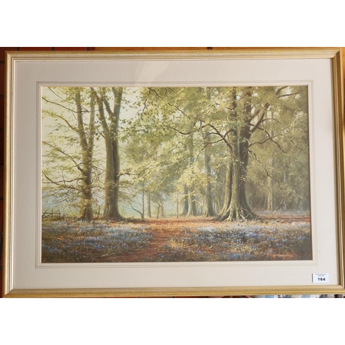 164 - A lovely coloured print of a spring forest scene with bluebells. H 55 x W 75 cm approx.