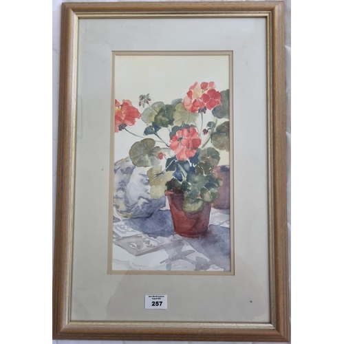 257 - A 20th Century Watercolour, still life of Geraniums in a Pot. 35 x 19 cm approx.