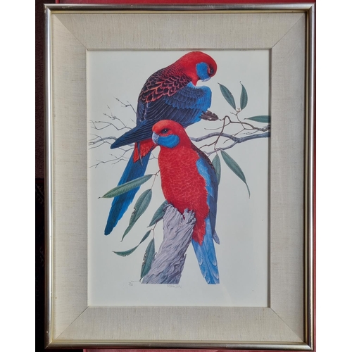 297 - A pair of limited edition coloured Prints of Parakeets after Robin Hill, signed lower middle. H 67 x... 