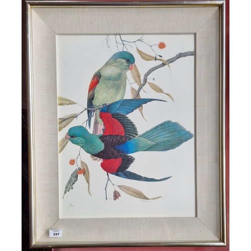 297 - A pair of limited edition coloured Prints of Parakeets after Robin Hill, signed lower middle. H 67 x... 