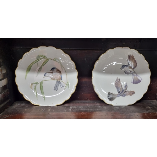 121 - A collection of five Royal Worcester limited edition collectors Plates 'The Birds of Dorothy Dougher... 