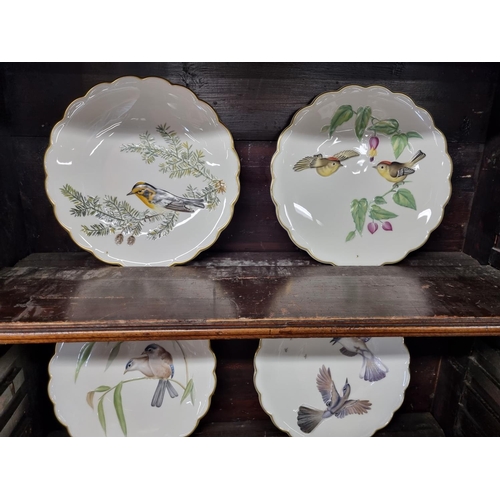 121 - A collection of five Royal Worcester limited edition collectors Plates 'The Birds of Dorothy Dougher... 