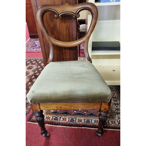 166 - A solid Rosewood Victorian Chair. W 66 x SH 48 cms approx.