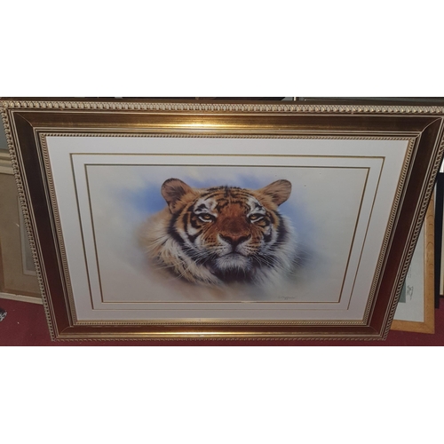 214 - S. Coffield. A coloured Print of a Tigers head. Really well framed. 80 x 100 cms approx.