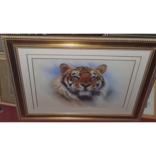 214 - S. Coffield. A coloured Print of a Tigers head. Really well framed. 80 x 100 cms approx.