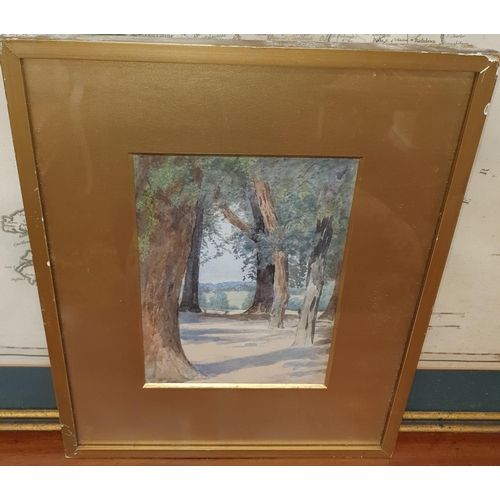 805 - A 19th early 20th Century Watercolour of a forest scene by E R Cummings along with a coloured print ... 