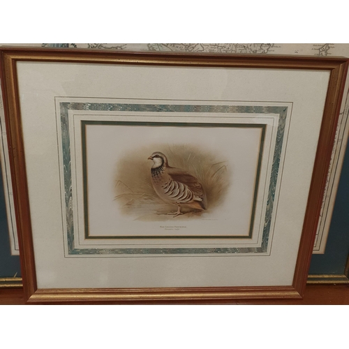 806 - Withdrawn. A fabulous set of coloured prints of Birds, superbly mounted and framed.
H 42 x 48 cm app... 