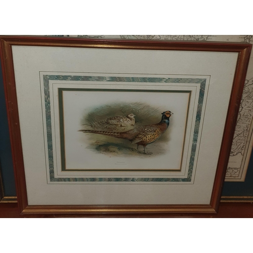 806 - Withdrawn. A fabulous set of coloured prints of Birds, superbly mounted and framed.
H 42 x 48 cm app... 