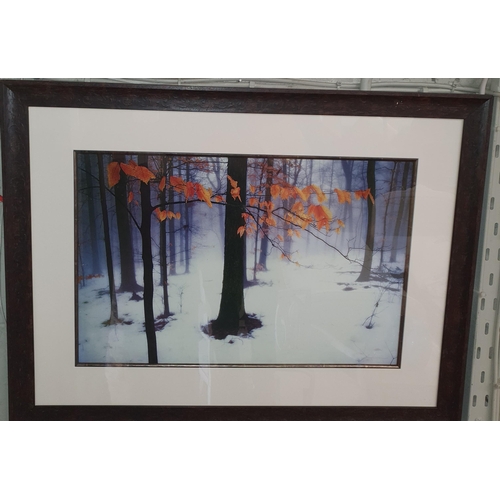 815A - An as new Photographic Print of a tranquil winter scene with good embossed frame. 40 x 60 cm approx.