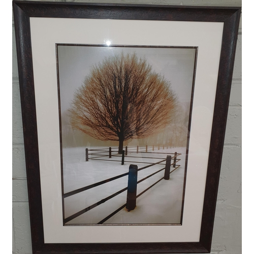 816 - An as new Photographic Print of a tranquil winter scene with good embossed frame. 67 x 46 cm approx.