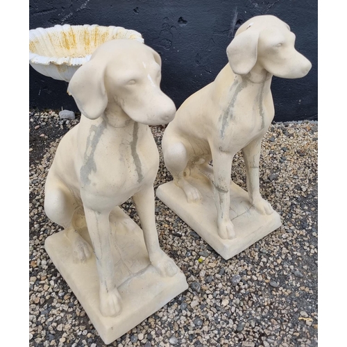 898 - A good pair of Stone Hounds.
H 73 cm approx.