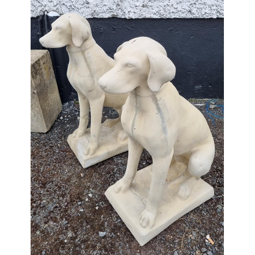 899 - A good pair of Stone Hounds.