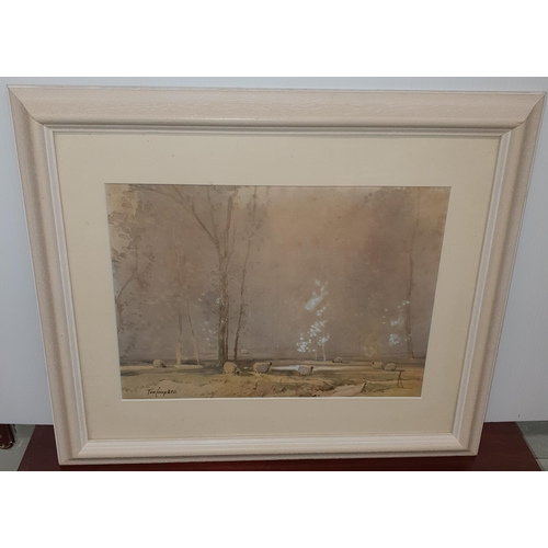 185 - A 20th Century Watercolour of sheep in a field, bears the signature Tom Campbell along with a 20th C... 