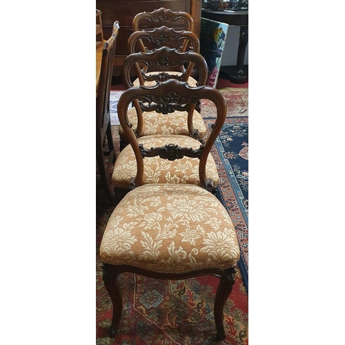 467 - A Fantastic set of four mid 19th Century solid Rosewood Dining Chairs with highly carved backs on ca... 