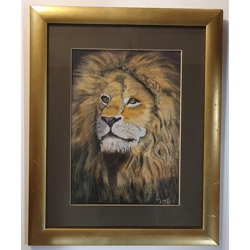 616 - Trevor O'Reilly. A very large Pastel of a Lion and two Lionesses along with  smaller pastel of a lio... 