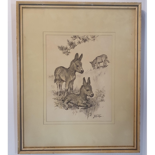 658 - A 20th Century Pencil Drawing of a Spaniel. Signed Bardon along with a 20th Century oil on board of ... 