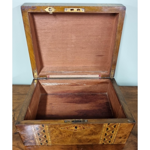 1028 - A 19th Century Walnut and Parquetry Box.