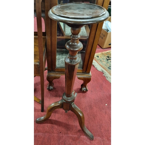 1035 - A 19th Century Mahogany plant Stand on tri pod base.