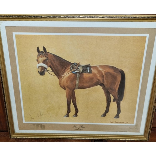 1043 - Three good coloured Prints of Red Rum some signed along with three racing photographic Prints.