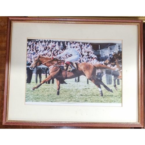 1043 - Three good coloured Prints of Red Rum some signed along with three racing photographic Prints.