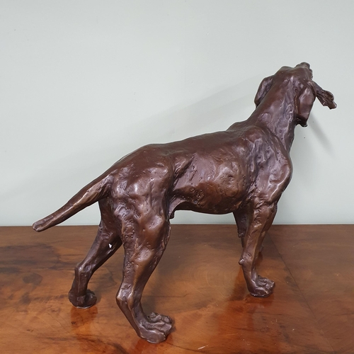 839 - A Bronze figure hunting dog. Dimensions (H x W x D) approx. 29x45x13cm