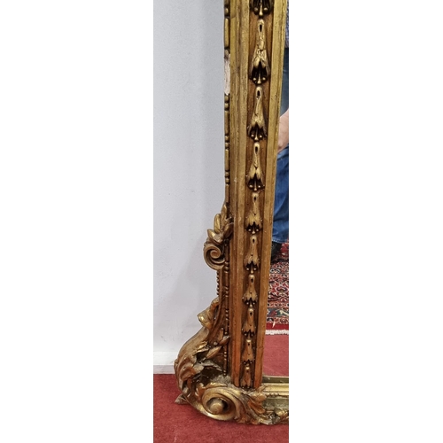 257 - A fabulous Timber and plaster Gilt overmantel Mirror with a highly molded outline, highly molded ped... 