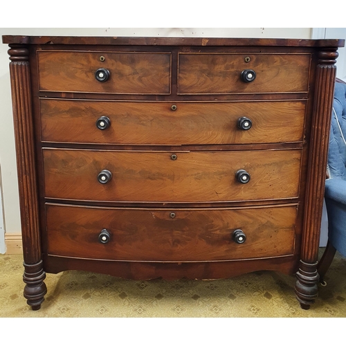 46 - A lovely 19th Century Mahogany bow front Chest of Drawers with pillared and reeded corner detail on ... 