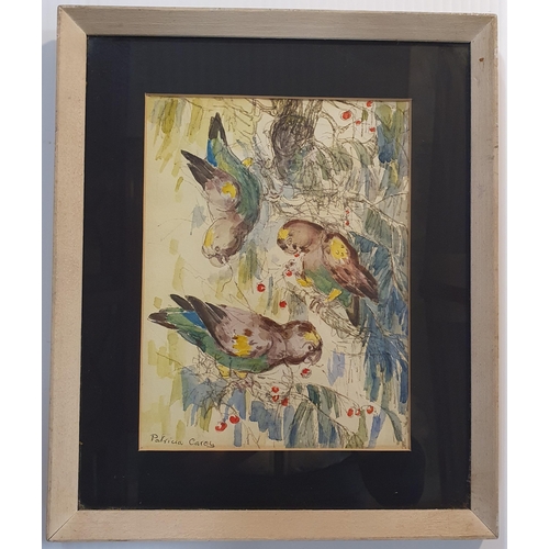49 - Patricia Carey. A 20th Century Watercolour of Parrots. Signed LL. 20 x 50 cm approx.