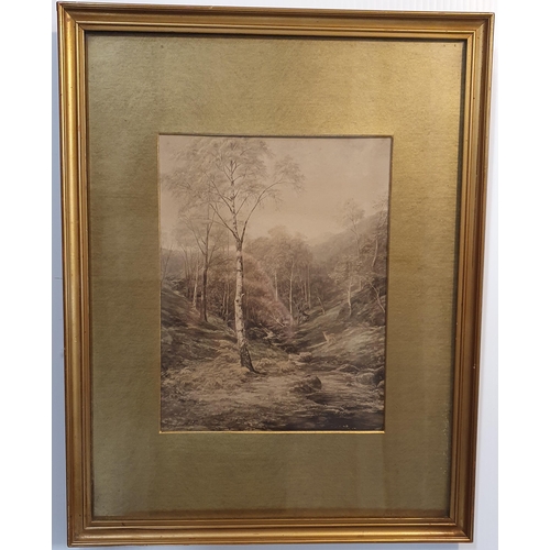 50 - A 19th Century coloured Print of Deer in a wooded setting. Monogrammed LL. 44 x 34 cm approx.