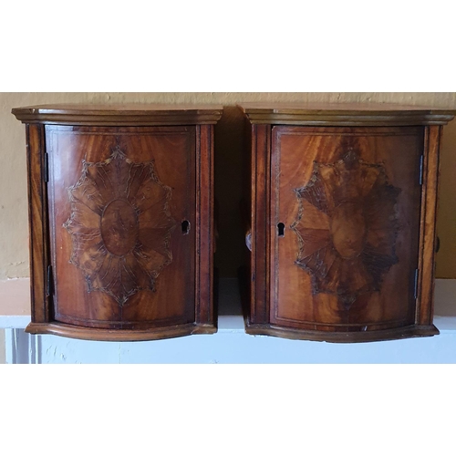 773 - A pair of Satinwood single door Table Cabinets with highly inlaid doors. W 23 x 19 x H 26 cm approx.