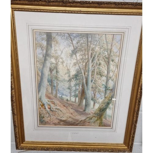 3 - H M Wimbush exhibited 1881-1904. A 19th Century Watercolour of a man walking down a wooded path. Sig... 