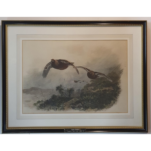 43 - After Archibald Thorburn a good print of grouse in flight above a moorland. 56 x 73 cm approx.