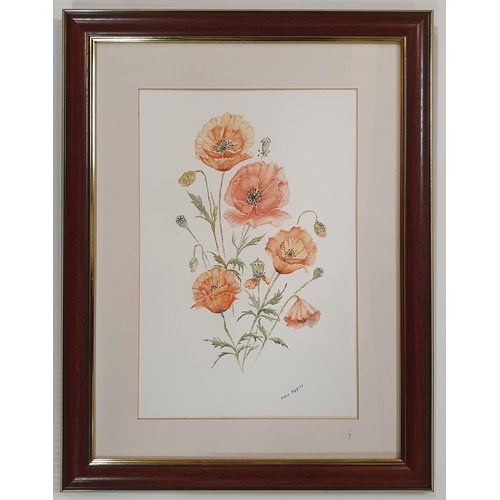 45 - Two 20th Century Watercolours Still Life of poppies by J Wells, one signed. 30 x 20 cm approx.