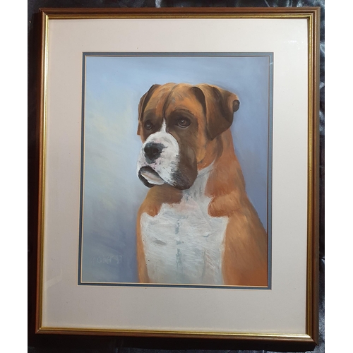 91 - G Oliver. A pair of Gouache/Pastels of Boxer Dogs. Signed Lower. 44 x 34cm approx.