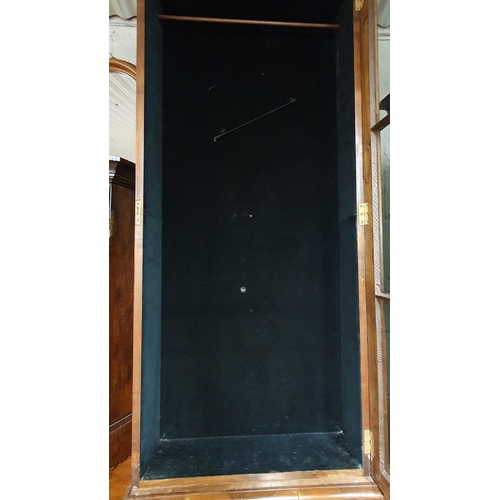 174 - A good late 19th early 20th Century Walnut  Cabinet with single door. W60 x D19 x H132cm approx.