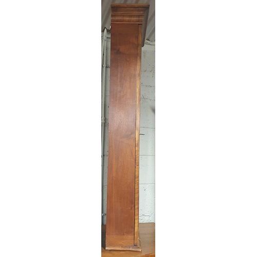 174 - A good late 19th early 20th Century Walnut  Cabinet with single door. W60 x D19 x H132cm approx.