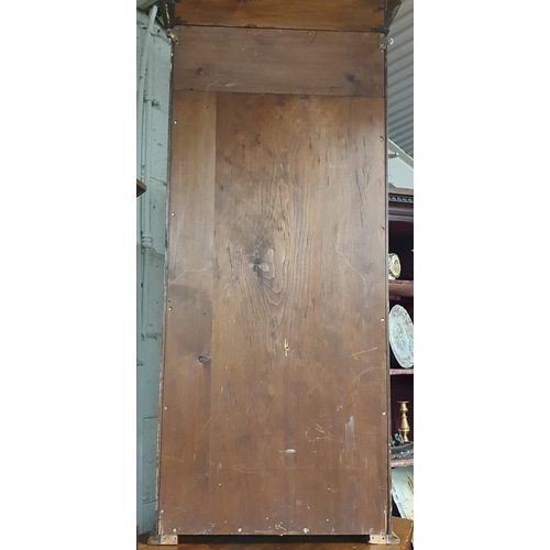 174 - A good late 19th early 20th Century Walnut  Cabinet with single door. W60 x D19 x H132cm approx.